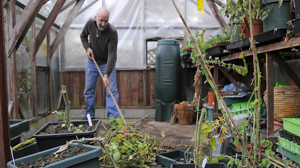 Spring gardening tips; cleaning greenhouse